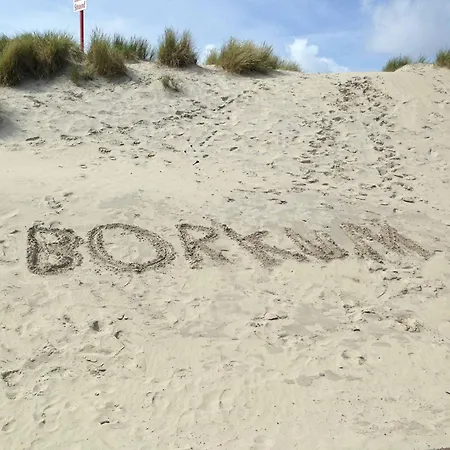 Augenstern In Der Patricia * Borkum